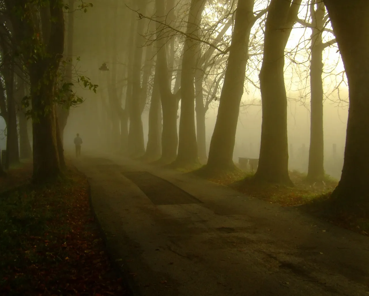 L&rsquo;abandon de soi